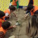 Imagen Taller infantil Excava y descubre