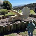 Imagen Del Triásico al Cretácico: una visita por los dinosaurios del Jardín del Museo