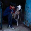 Imagen Ciudad sin sueño