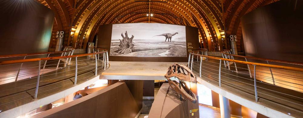 Image Accessibilité