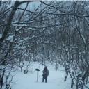 Imagen Valle blanco, gallo negro