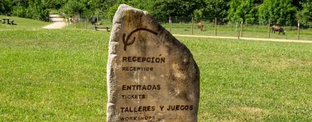 Imagen Entradas