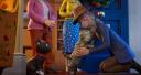 Imagen El gato Tabby y otras historias felinas